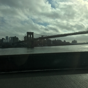 brooklynbridgeview.jpg