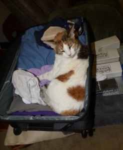 packing.jpg