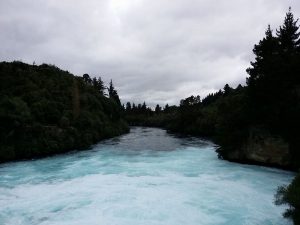 rotorua1.jpg