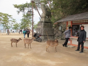 miyajima.jpg