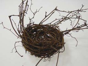 birdnest2.jpg