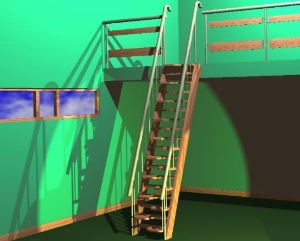 ladderstairwithalternatingrisersin3d_58827.jpg