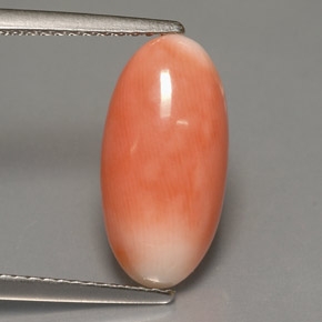 coral-gem-185353a.jpg