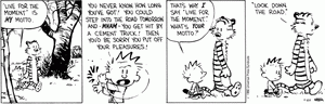 calvin_and_hobbes_look_down_road-q1d6lq.gif