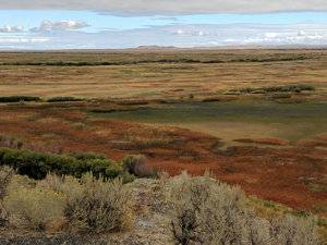 9-2017 fall color malheur.jpg