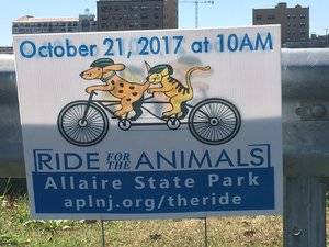 ridefortheanimals.jpg