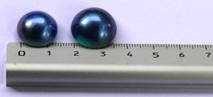 blue mabe half pearl.jpg