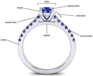 Ring_anatomy.jpg