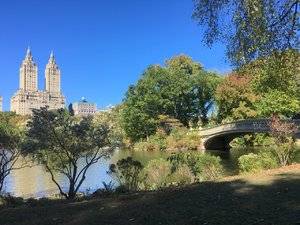 Central Park Lake & Bridge.jpg