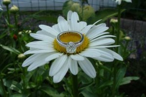 My Ring15a.JPG