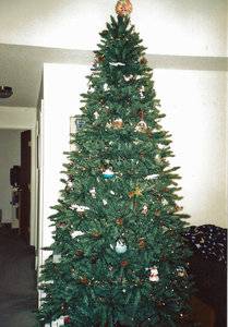 Xmas Tree Real.jpg