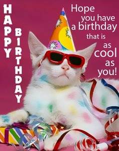 4917d75bdb00f6a0af2ab8021005dae4--funny-birthday-ecards-happy-birthday-quotes.jpg