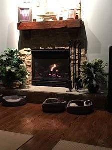 tommyandfredbyfireplacedecember2017.jpg