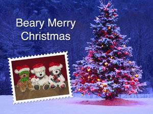 BearyChistmas.jpeg