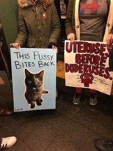 pussycatsignswomensmarch2018.jpg