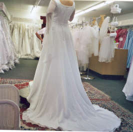 weddingdressmine4.jpg