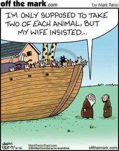 noahsarc.jpg