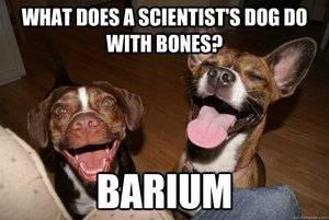 science-dog-joke.jpg