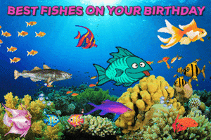 bestfishesonyourbirthday.gif