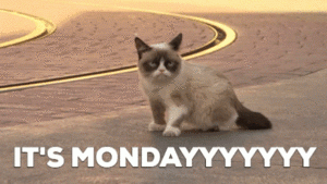 itsmonday.gif