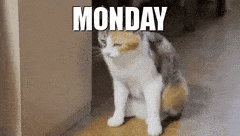 monday.gif