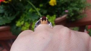 Garnet  ring 5.jpg