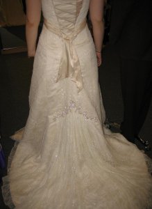 bad picture of the back of the dress.JPG