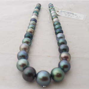 tahitian pearls vendor photo1.PNG