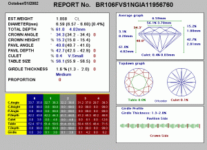 BR106FVS1NREPORT.gif