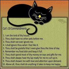 catcommandments.jpg