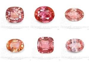 padparadscha-sapphires-10-tips-on-judging-the-rare-gem-padparadscha-sapphire-earrings.jpg