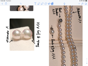 Pearl Necklace Lengths and How They Wear – Pearl Paradise