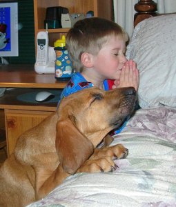 boy&dogpray1.jpg