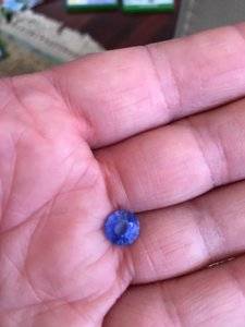 2.50 Cornflower blue sapphire inside natural light 2.JPG