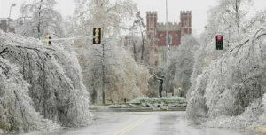 bizzell library.jpg