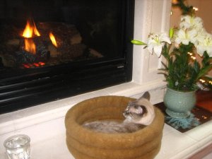 TakumiFireplace.jpg