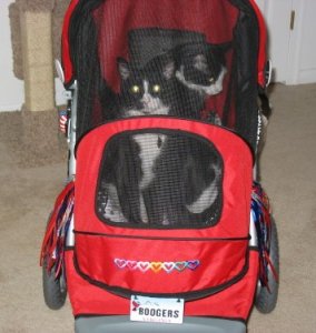 AT3 Stroller1.JPG