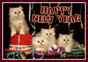 happy-new-year-cats.gif