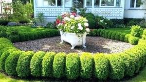 bathtub planter.jpg