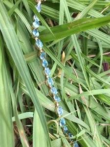 Aquamarine bracelet 2.JPG