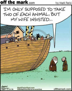 noahsarc.png