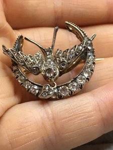 Diamond Swallow Crescent 4.JPG