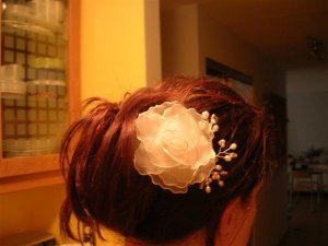 PS_hairflower2.jpg