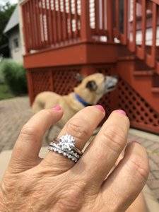 ringwithdog1.jpg