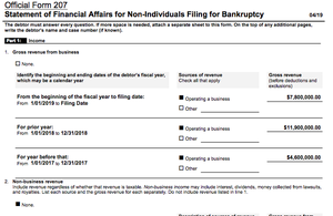 Enchanted Diamonds bankruptcy petition excerpt.png