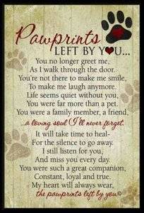 pawprintsleftbyyou.jpg