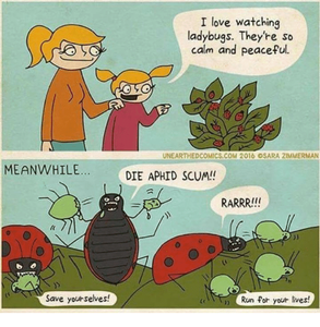 i-love-watching-ladybugs-theyre-so-calm-and-peaceful-unearthedcomics-com-23722644.png