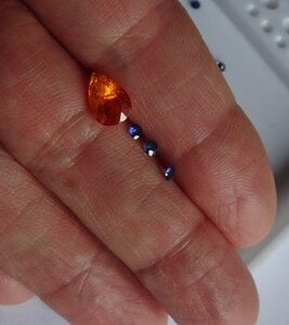 Pearls, Sapphires and Red Hen Eggs 008.JPG