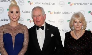 camilla-news-camilla-parker-bowles-duchess-of-cornwall-barnardo-royal-news-2297068.jpg