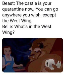 beauty-and-the-beast-quarantine-toilet-paper-meme.jpg